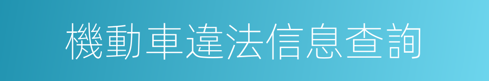 機動車違法信息查詢的同義詞