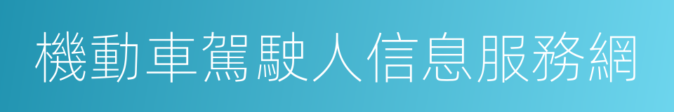 機動車駕駛人信息服務網的同義詞