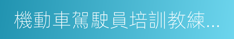 機動車駕駛員培訓教練場技術要求的同義詞