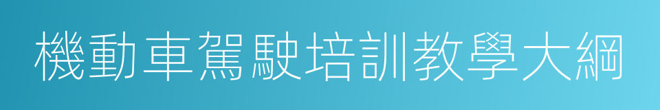 機動車駕駛培訓教學大綱的同義詞
