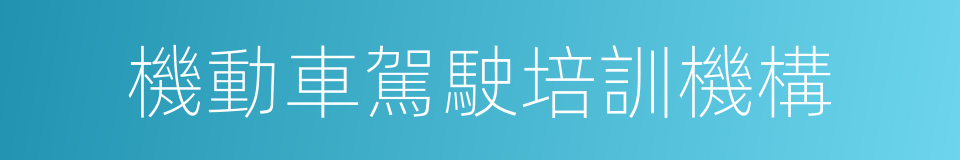 機動車駕駛培訓機構的同義詞