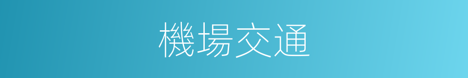 機場交通的同義詞