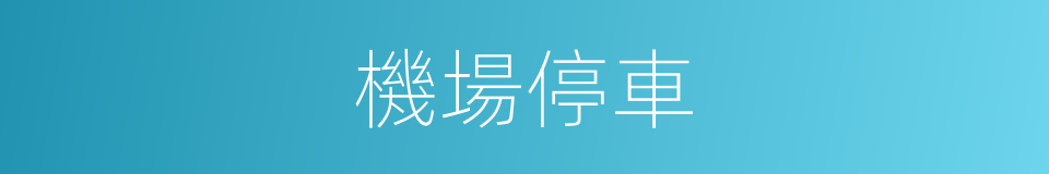 機場停車的同義詞