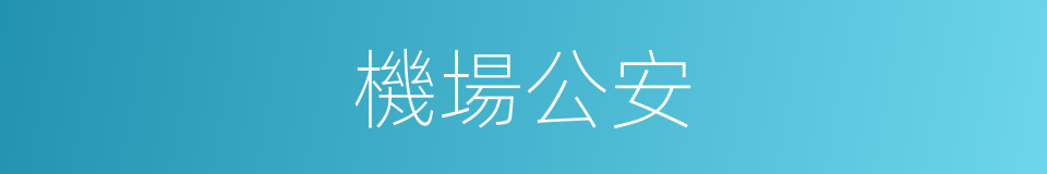 機場公安的同義詞