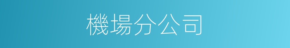 機場分公司的同義詞