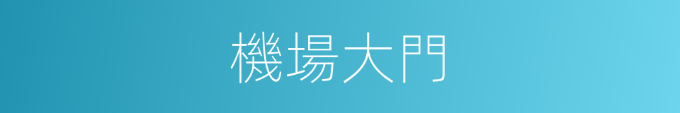 機場大門的同義詞