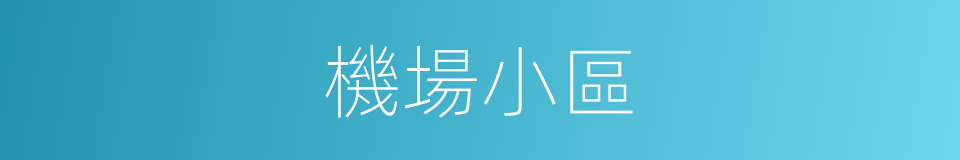 機場小區的同義詞