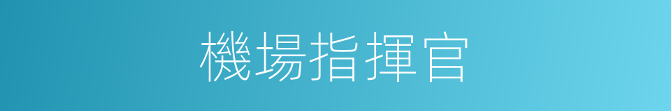 機場指揮官的同義詞