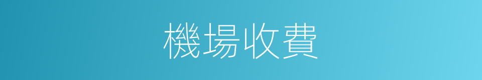 機場收費的同義詞