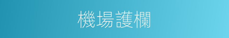 機場護欄的同義詞