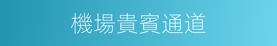 機場貴賓通道的同義詞