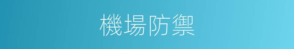 機場防禦的同義詞