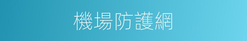 機場防護網的意思