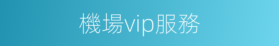 機場vip服務的同義詞