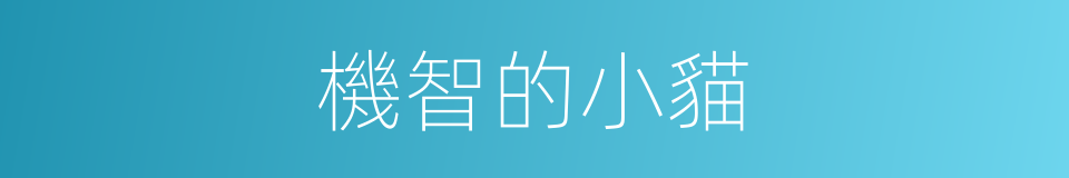 機智的小貓的同義詞