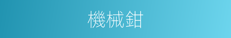 機械鉗的同義詞