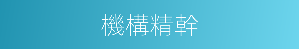 機構精幹的同義詞