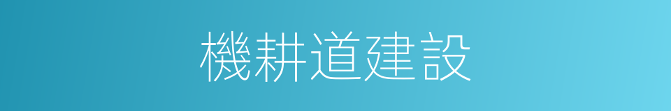 機耕道建設的同義詞