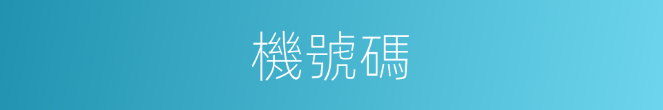 機號碼的同義詞