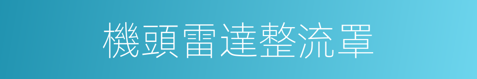 機頭雷達整流罩的同義詞