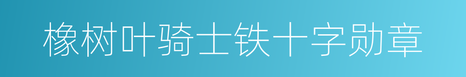 橡树叶骑士铁十字勋章的同义词