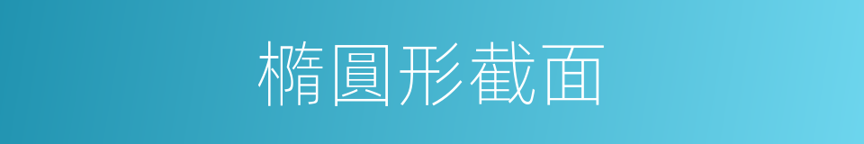 橢圓形截面的同義詞