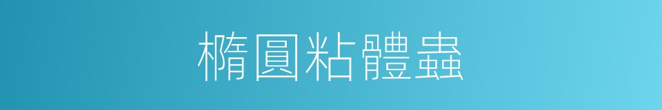 橢圓粘體蟲的同義詞