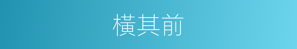 橫其前的同義詞