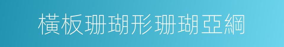 橫板珊瑚形珊瑚亞綱的同義詞