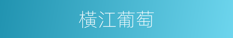 橫江葡萄的同義詞