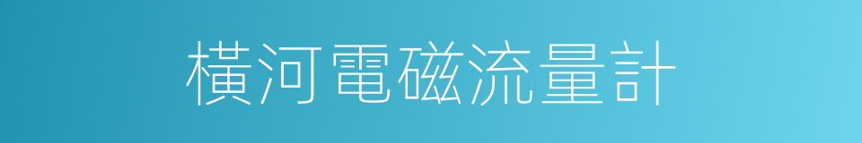 橫河電磁流量計的同義詞