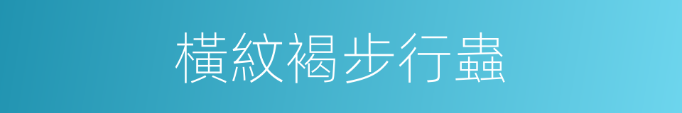橫紋褐步行蟲的同義詞
