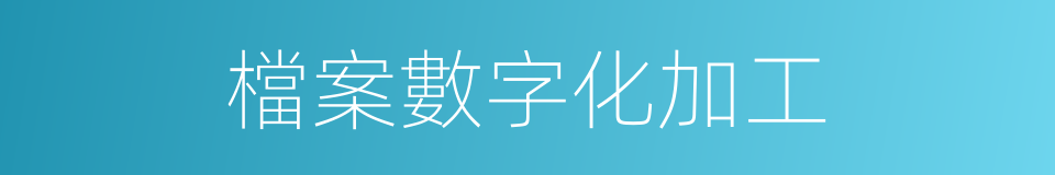 檔案數字化加工的同義詞