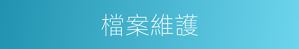 檔案維護的同義詞