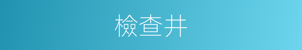 檢查井的意思