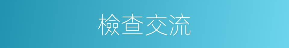 檢查交流的同義詞