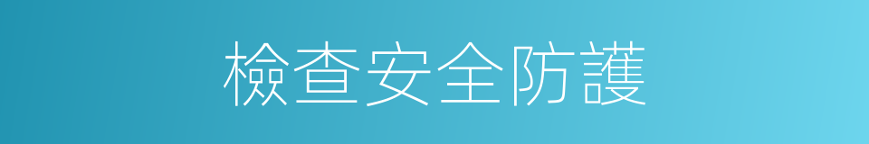 檢查安全防護的同義詞