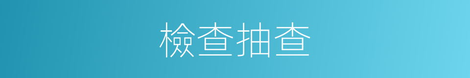 檢查抽查的同義詞