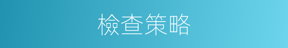 檢查策略的同義詞