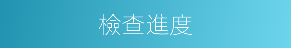 檢查進度的同義詞