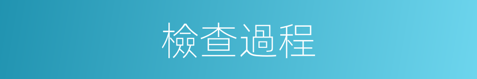 檢查過程的同義詞