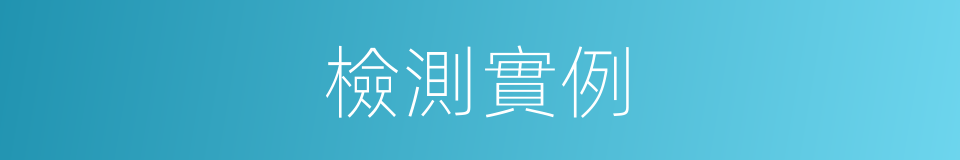 檢測實例的同義詞