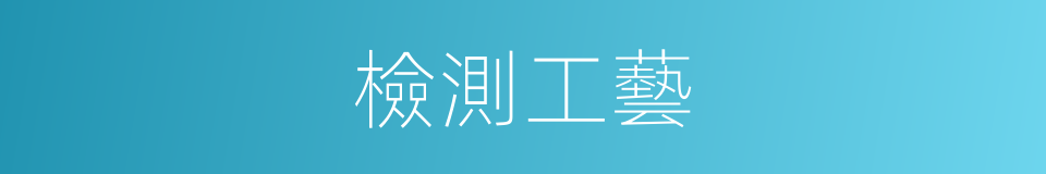 檢測工藝的同義詞