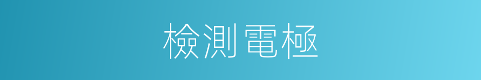 檢測電極的同義詞