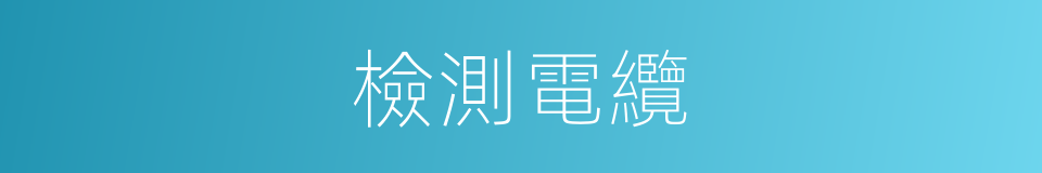 檢測電纜的同義詞