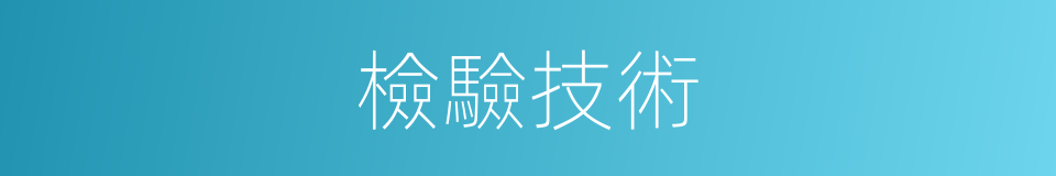 檢驗技術的同義詞