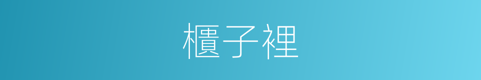 櫃子裡的同義詞