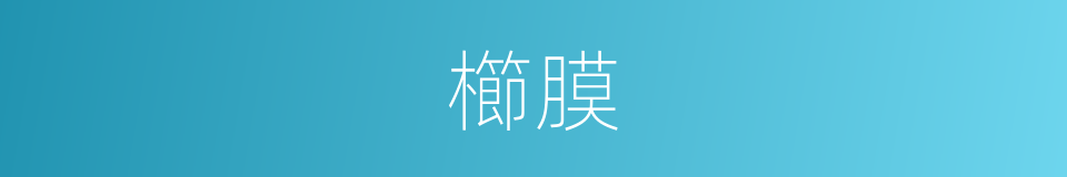 櫛膜的意思