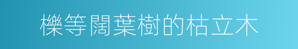 櫟等闊葉樹的枯立木的同義詞