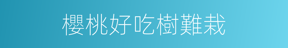 櫻桃好吃樹難栽的同義詞